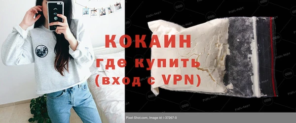 сатива Михайлов