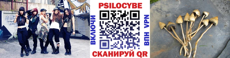 Псилоцибиновые грибы GOLDEN TEACHER  Шилка 
