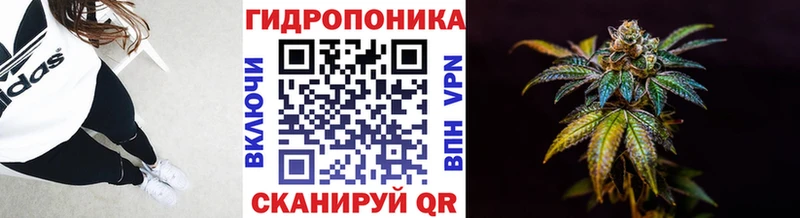 наркошоп  Шилка  omg   МАРИХУАНА THC 21% 